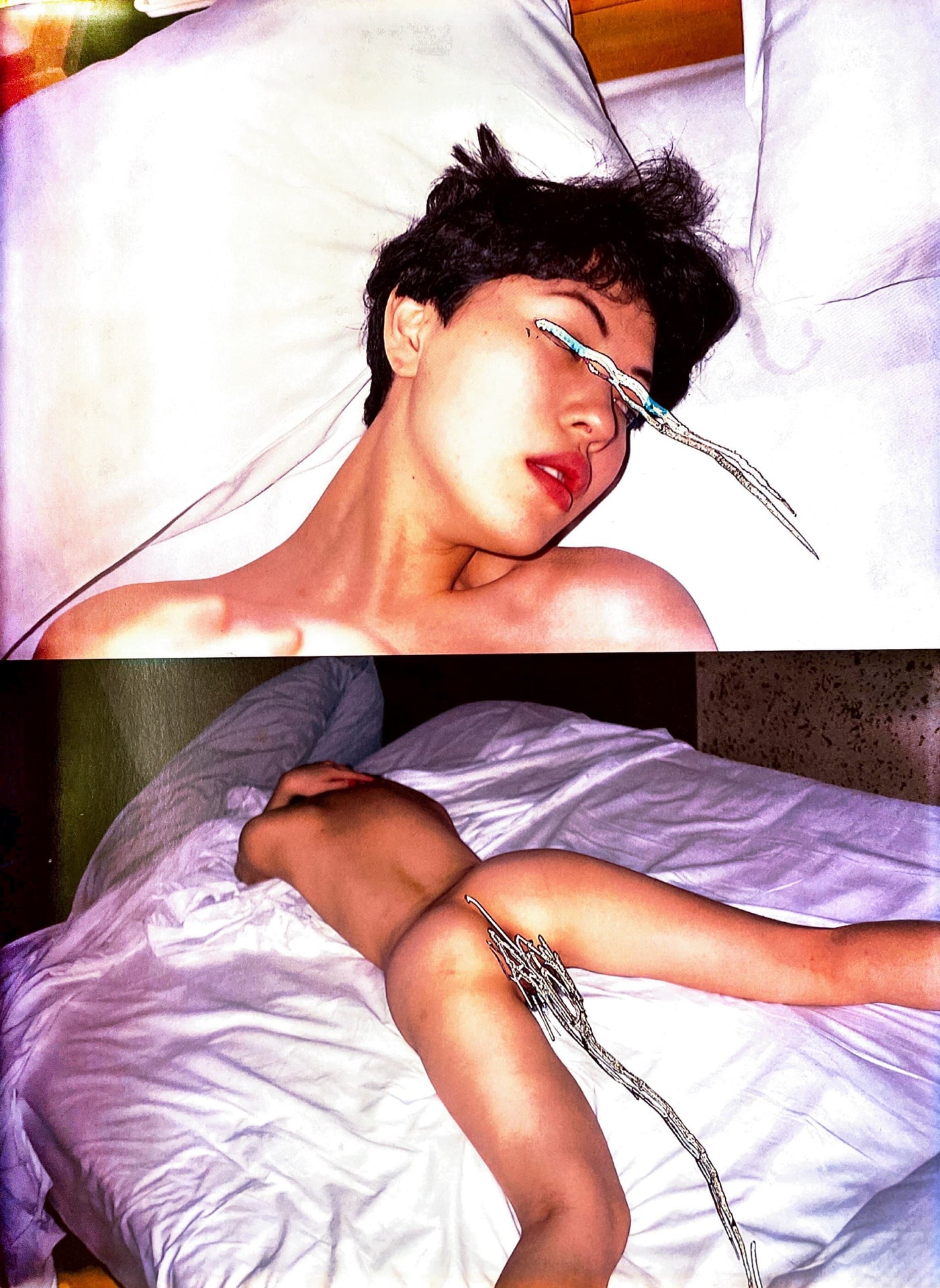 Obscenities - Nobuyoshi Araki