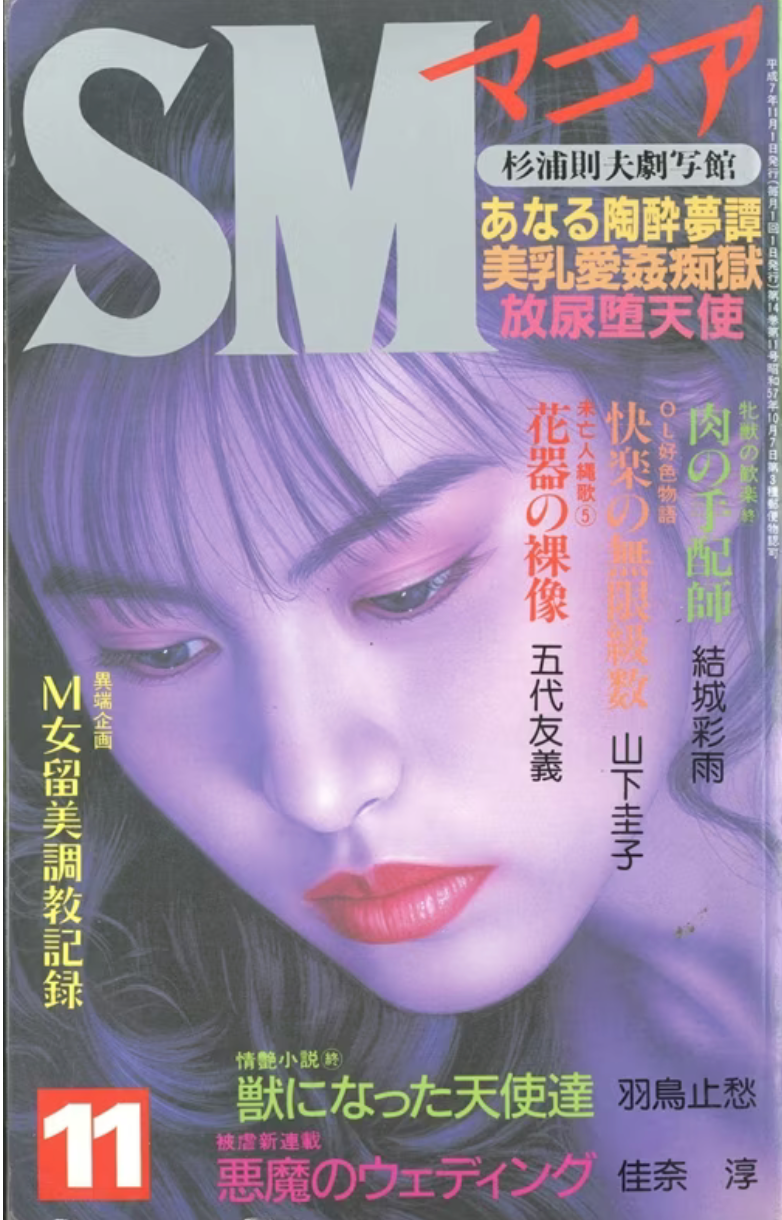 SM freak November 1995 Edition